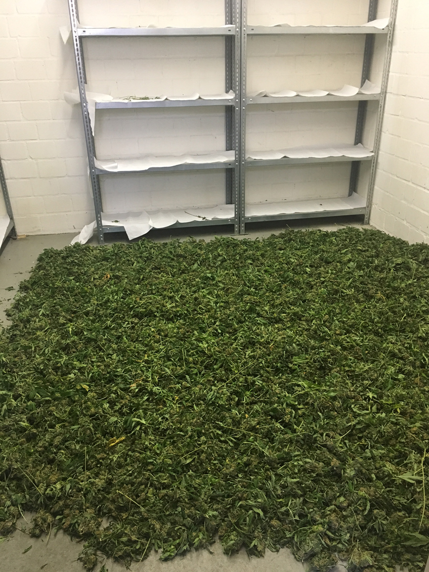 Polizei stellt Drogen im Verkaufswert von etwa 300 000 Euro sicher