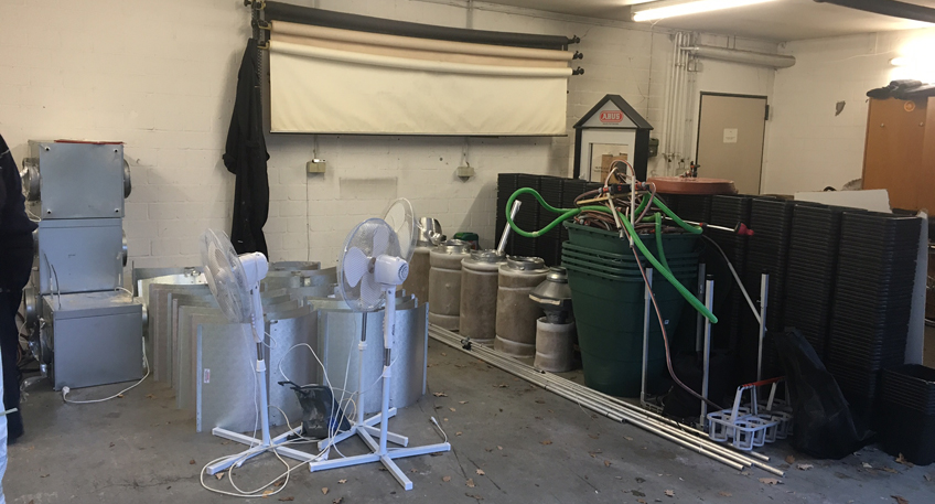 Polizei stellt Drogen im Verkaufswert von etwa 300 000 Euro sicher