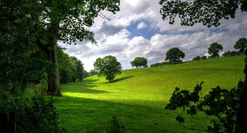 Landschaft in Porta Westfalica wird wieder sauber