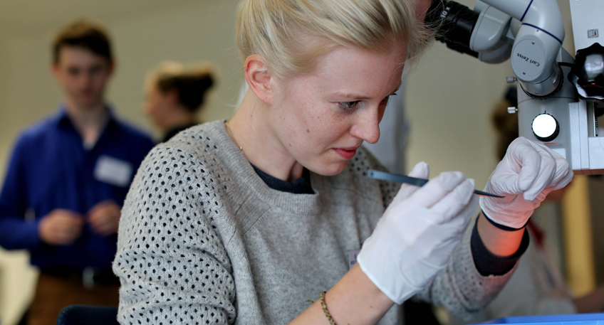 Studierende aus ganz Deutschland im JWK Minden Studierende aus ganz Deutschland im JWK Minden