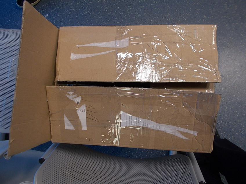 20161107 hallo minden petershagen katzenbabys ausgesetzt 20161107 hallo minden petershagen katzenbabys ausgesetzt