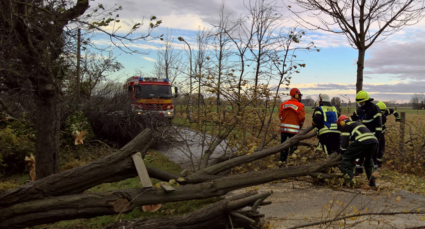 Feuerwehr r&uuml;ckt wegen umgest&uuml;rzter B&auml;ume aus