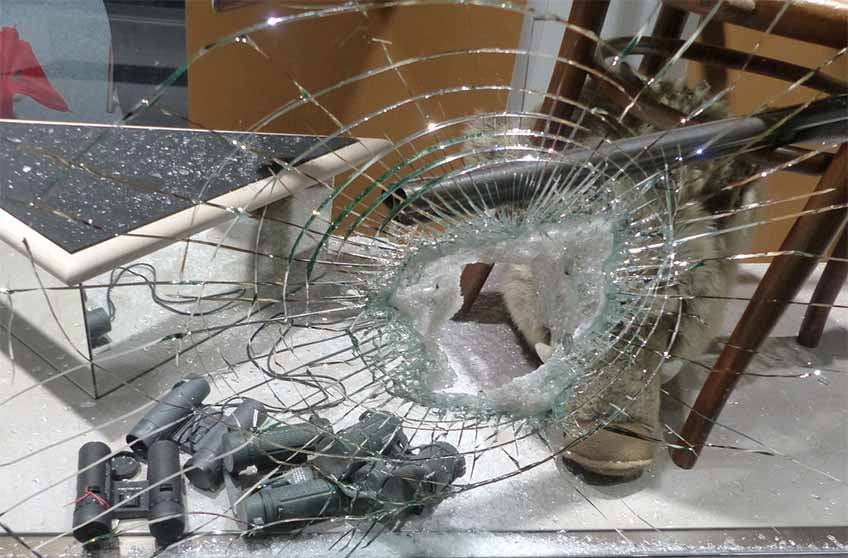 Ferngläser aus der Auslage eines Optikergeschäfts gestohlen