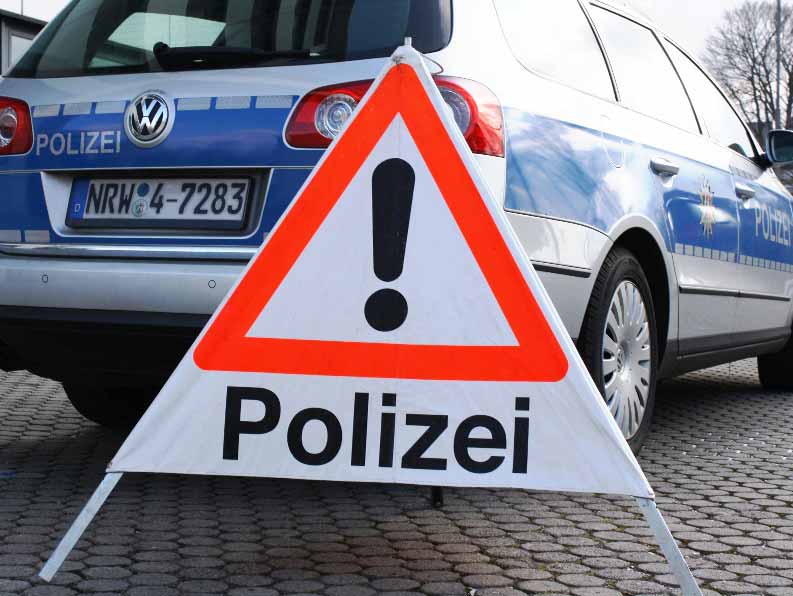 Zwei tote Ponys in Straßengräben